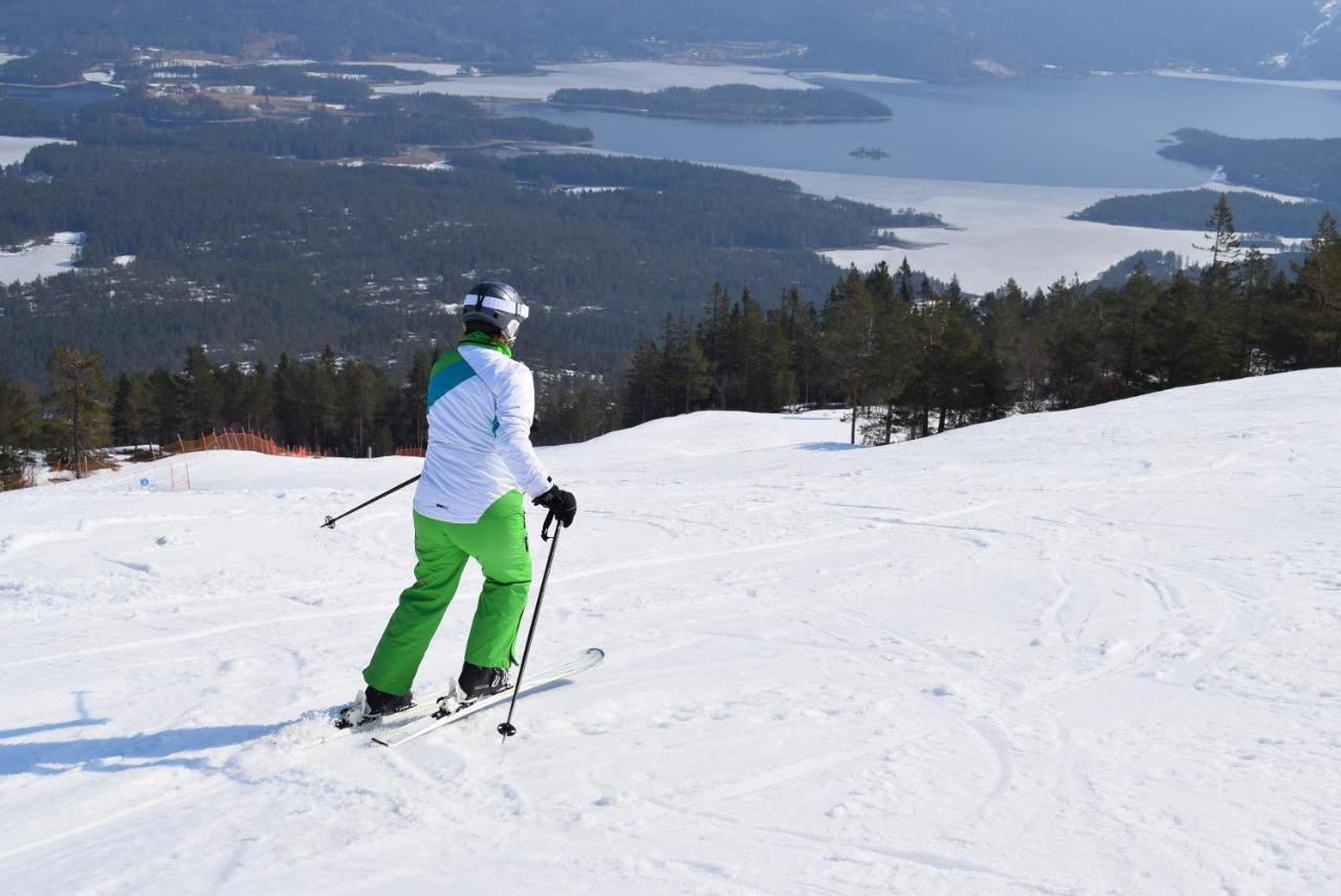 Fjellblikken
